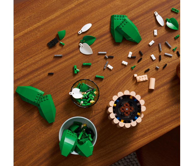 LEGO BOTANICALS 11504 Skrzydłokwiat - 1473410 - zdjęcie 5